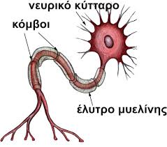 images (3)
